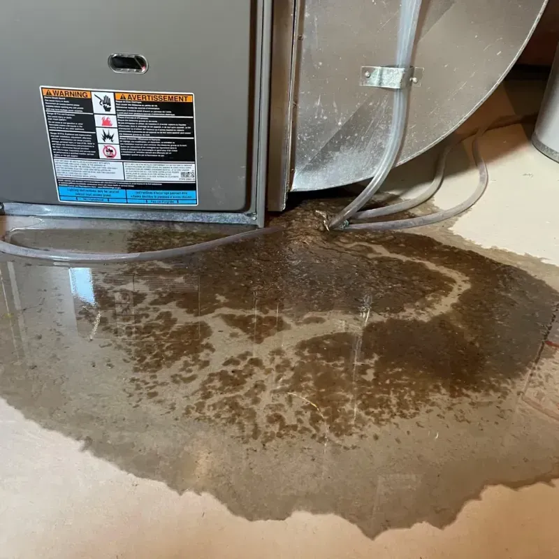 Appliance Leak Cleanup in Berkeley Springs, WV